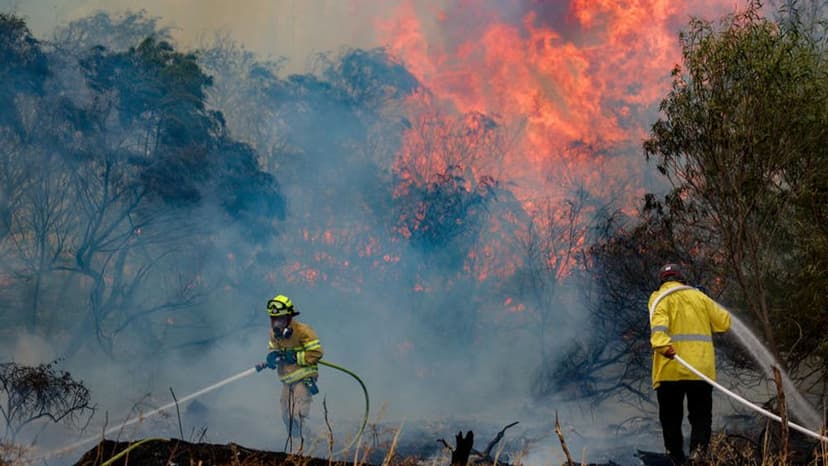 Massive fires engulf thousands of acres near Jerusalem, and Israel seeks international support.