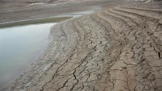 Die FAO warnt vor einer katastrophalen Lebensmittelkrise in Syrien aufgrund der Dürre.