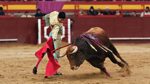 إسبانيا تتجه لحظر حضور القاصرين فعاليات مصارعة الثيران حمايةً لهم من العنف