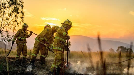 Une vague de chaleur record frappe le sud-est de l'Australie... Incendies et coupures de courant pour des milliers de foyers