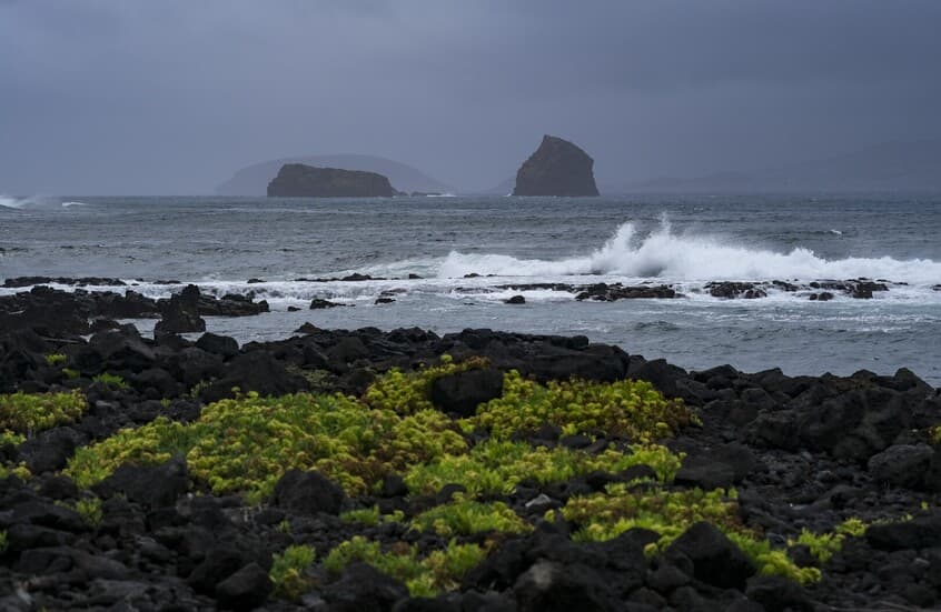 Le Portugal déclare l'état d'urgence après la tempête "Christina" et enregistre 5 morts