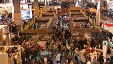 «ألواح الجبن» تشعل الفوضى.. شجار عنيف يهزّ معرض الزراعة في باريس