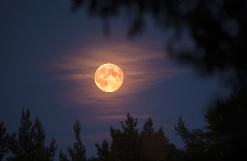 Stiehlt der Mond unseren Schlaf? Die Wissenschaft enthüllt die Wahrheit